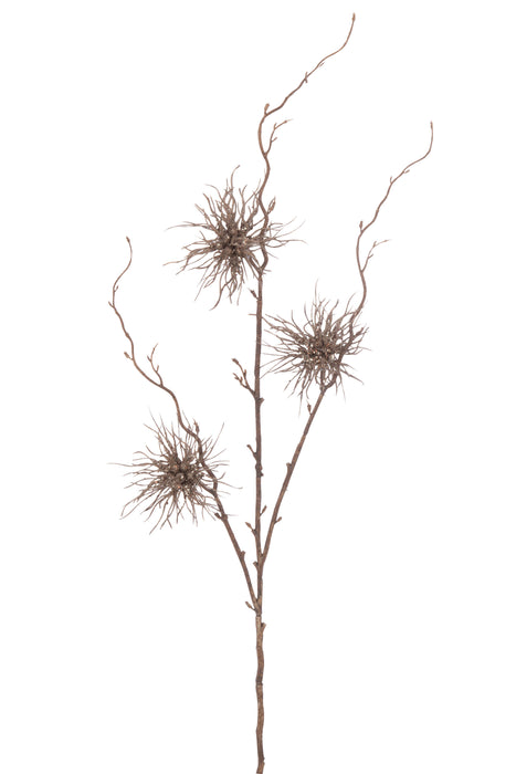 Decorative three-flowered branch 'Hedgehog'