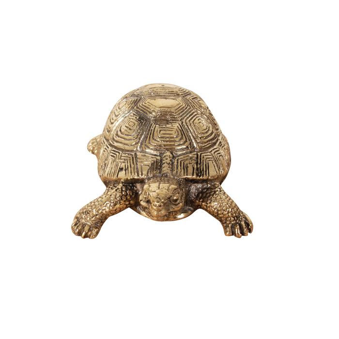 Paperweight turtle.