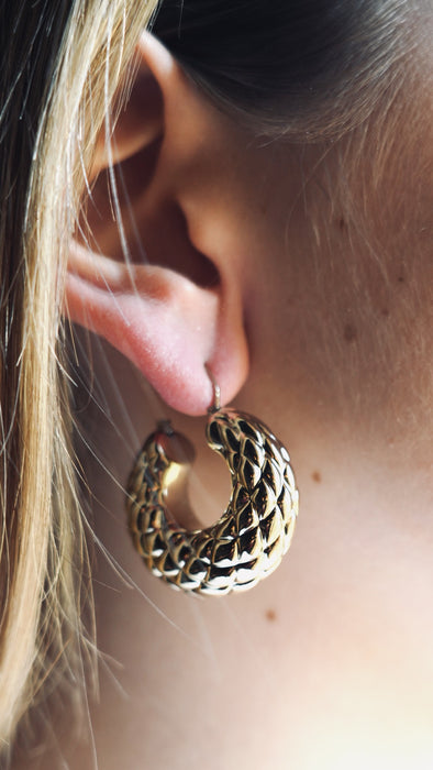 Dore' Malizia model earrings