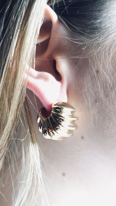 Dore' Nautilus model earrings