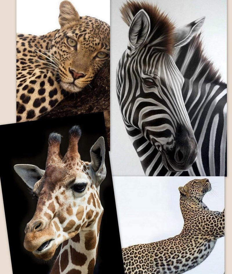 Collezione Animalier e Corni