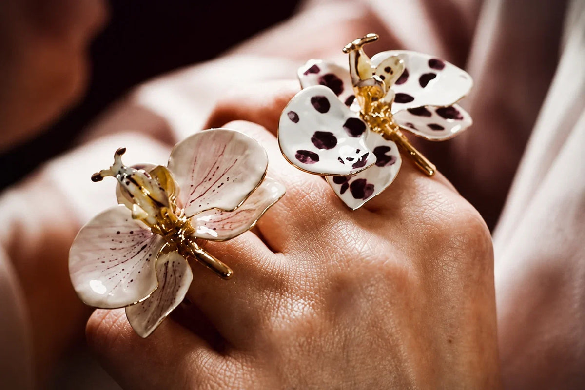 Collezione  Orchidee