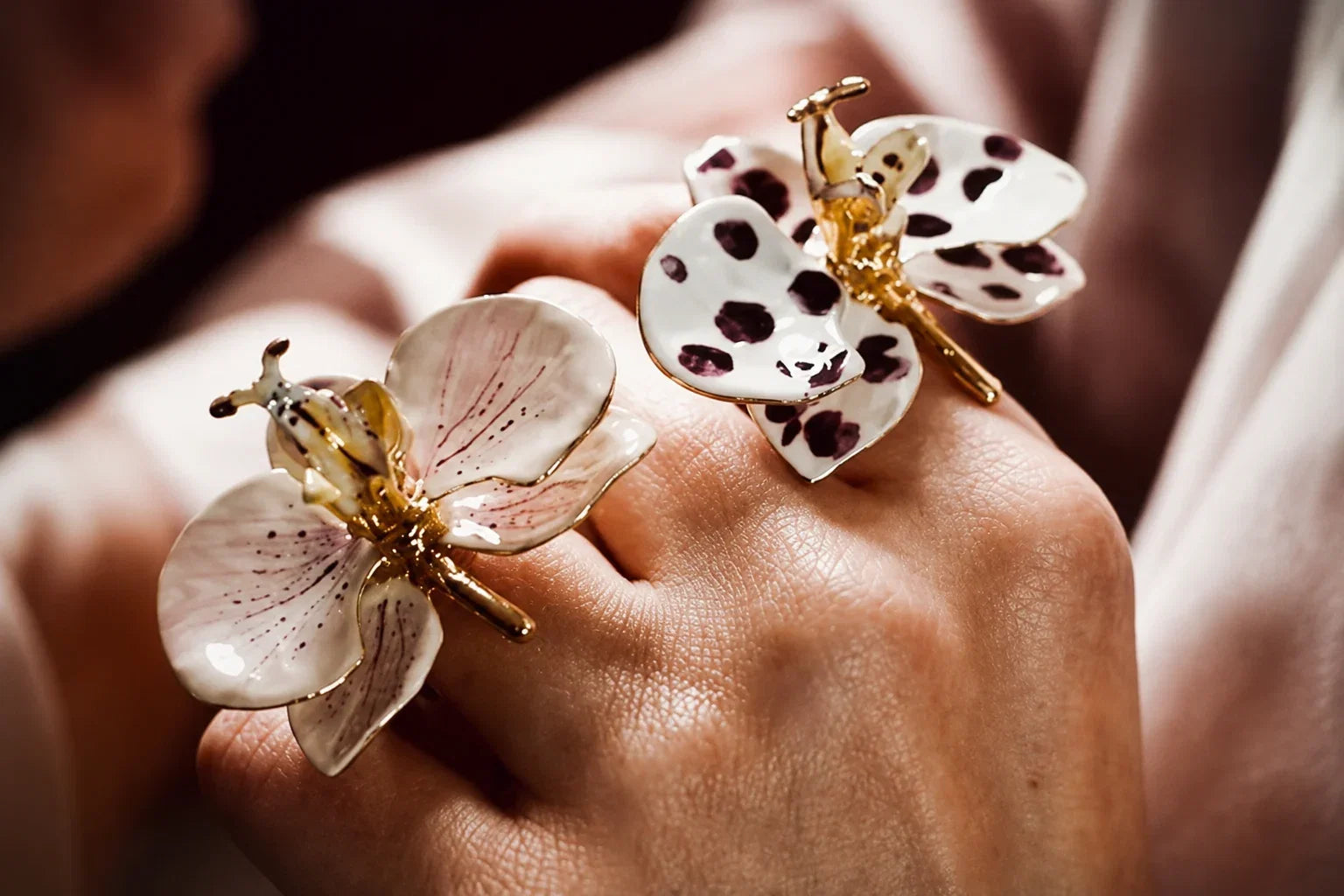 Collezione  Orchidee