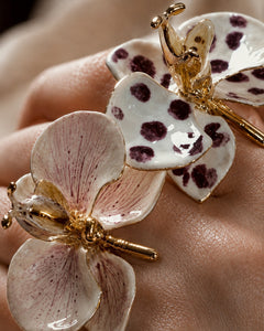 Collezione Le Orchidee