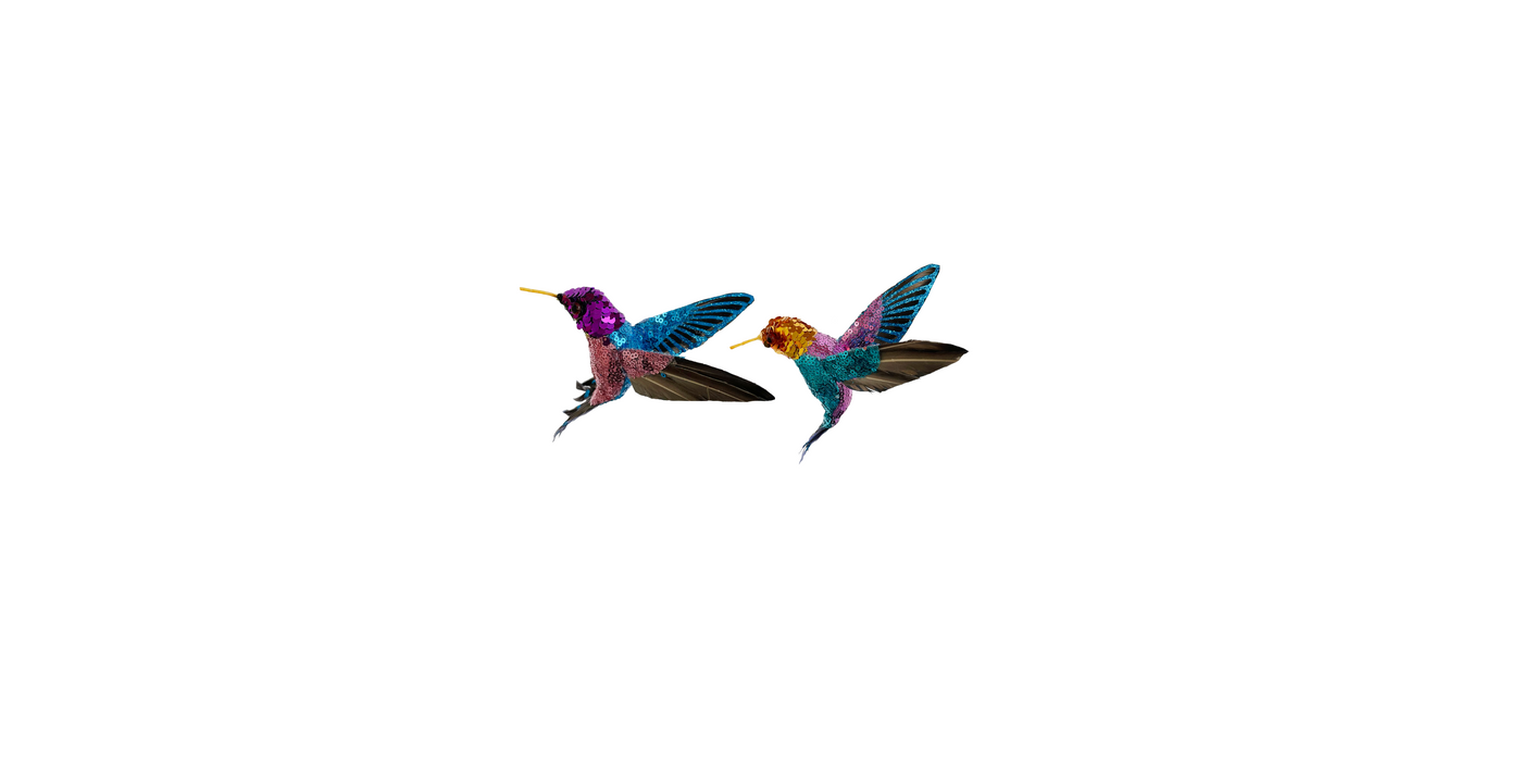 Decorazione da appendere 'I colibrì'.  La coppia