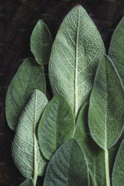 Anello smalto 'Verde Salvia'