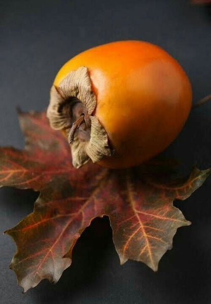 Anello smalto  'Giallo Kako'