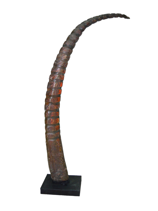 Decorative horn