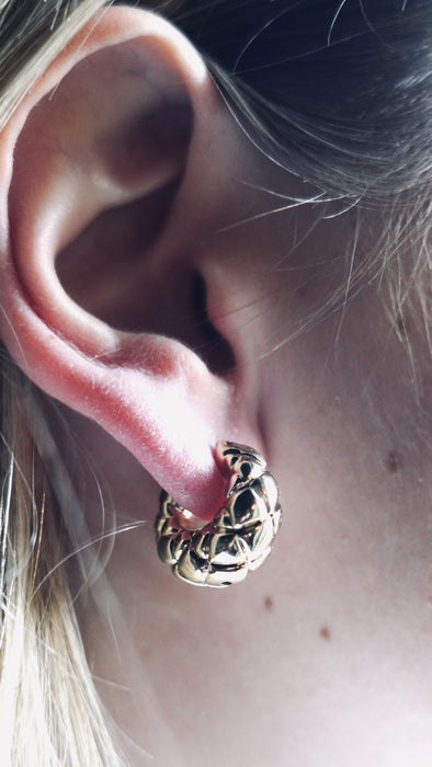 Dore' Oceania model earrings